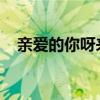 亲爱的你呀来跳个舞吧是什么歌请播出来