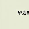 华为8100手机（华为8100）