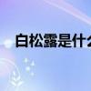 白松露是什么东西?（白松露是什么东西）
