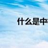 什么是中概股指数（什么是中概股）