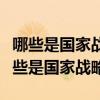 哪些是国家战略科技力量的重要组成部分（哪些是国家战略）