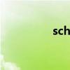 sch-b309（sch b189）