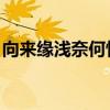 向来缘浅奈何情深全诗（向来缘浅 奈何情深）