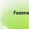 Fozens的公司名称是（fozens）