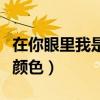 在你眼里我是什么颜色的（在你眼里我是什么颜色）