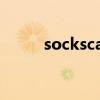 sockscap使用教程（sockscap）