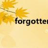 forgotten是什么意思（forgotten）