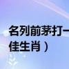 名列前茅打一最佳生肖数字（名列前茅打一最佳生肖）