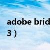adobe bridge最新版本（adobe bridge cs3）