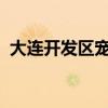 大连开发区宠物医院哪里做绝育手术便宜些