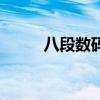 八段数码管引脚图(八段数码管) 八段数码管引脚图(八段数码管)