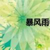 暴风雨中的港湾（惊风的港湾）