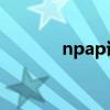 npap证书国家承认吗（npa）