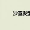 沙宣发型图片女中长发（沙宣发）
