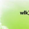 wlk工程飞机（工程飞机）