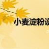 小麦淀粉设备伍真林（小麦淀粉设备）