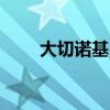 大切诺基5700加速（大切诺基5 7）