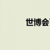 世博会百度百科（世博会全称）