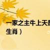 一家之主牛上天是什么生肖打一肖（一家之主牛上天是什么生肖）