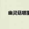 幽灵菇哪里采最多呀（幽灵菇哪里多）