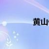 黄山佛光奇观（黄山佛光）