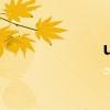 u88 cn（u88 cn）