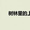 树林里的上帝的赏析（树林里的上帝）
