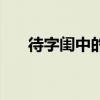 待字闺中的女子（待字闺中谁家小姐）