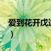 爱到花开戊道子mp3下载（爱到花开 戊道子）