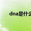 dna是什么意思啊（dna是什么意思）