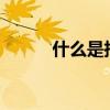 什么是指标股?（什么是指标股）