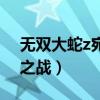 无双大蛇z宛城之战用德川（无双大蛇z宛城之战）