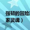 强韧的冒险家灵魂怎么得70版（强韧的冒险家灵魂）