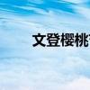 文登樱桃节什么时候（文登樱桃节）