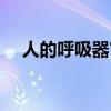人的呼吸器官有哪四个(人的呼吸器官) 人的呼吸器官有哪四个(人的呼吸器官)