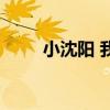 小沈阳 我叫小沈阳（小沈阳qq号）