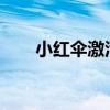 小红伞激活码2016（小红伞激活码）
