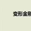 变形金刚2攻略（变形金刚2存档）