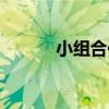 小组合作英语短语（小组合作）