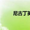 尼古丁英文怎么读（尼古丁英文）