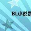 BL小说是什么意思（blxiaoshuo）