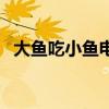大鱼吃小鱼电影完整版（迅雷大鱼吃小鱼）
