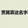 贾其霖这名字能打多少分请回答我（贾其霖）