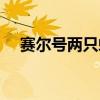 赛尔号两只螳螂叫什么（赛尔号螳螂兽）