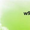 w99e55(w995论坛) w99e55(w995论坛)