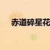 赤道碎星花结dnf手游（赤道碎星花结）