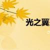 光之翼刃当时多钱（光之翼刃）
