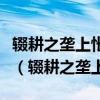 辍耕之垄上怅恨久之未尝不叹息痛恨于桓灵也（辍耕之垄上）