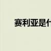 赛利亚是什么动漫（赛利亚喜欢什么）