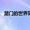 楚门的世界简介300字（楚门的世界简介）